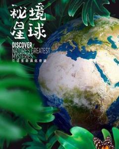 假红薯粉条是用化学物质，硫磺、白矾和墨汁做的，要怎么分辨呢？